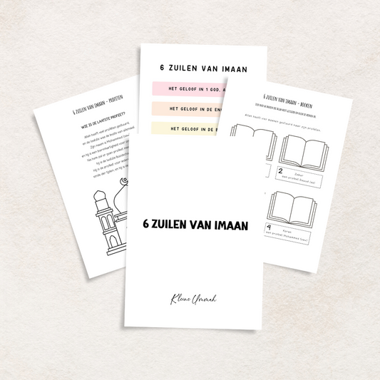 Thema Verkenner: De 6 zuilen van Imaan
