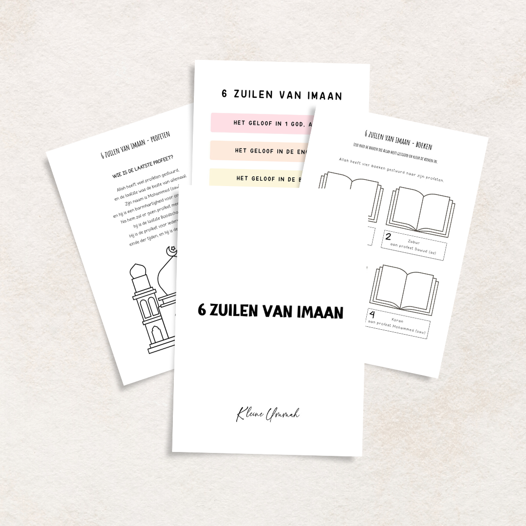 Thema Verkenner: De 6 zuilen van Imaan